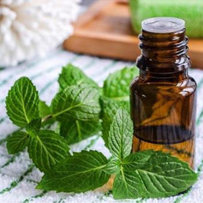 Spearmint Oil Exporter
