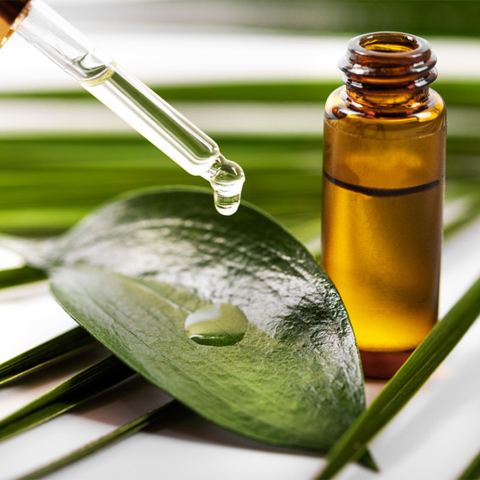 Tea Tree Oil Indonesia