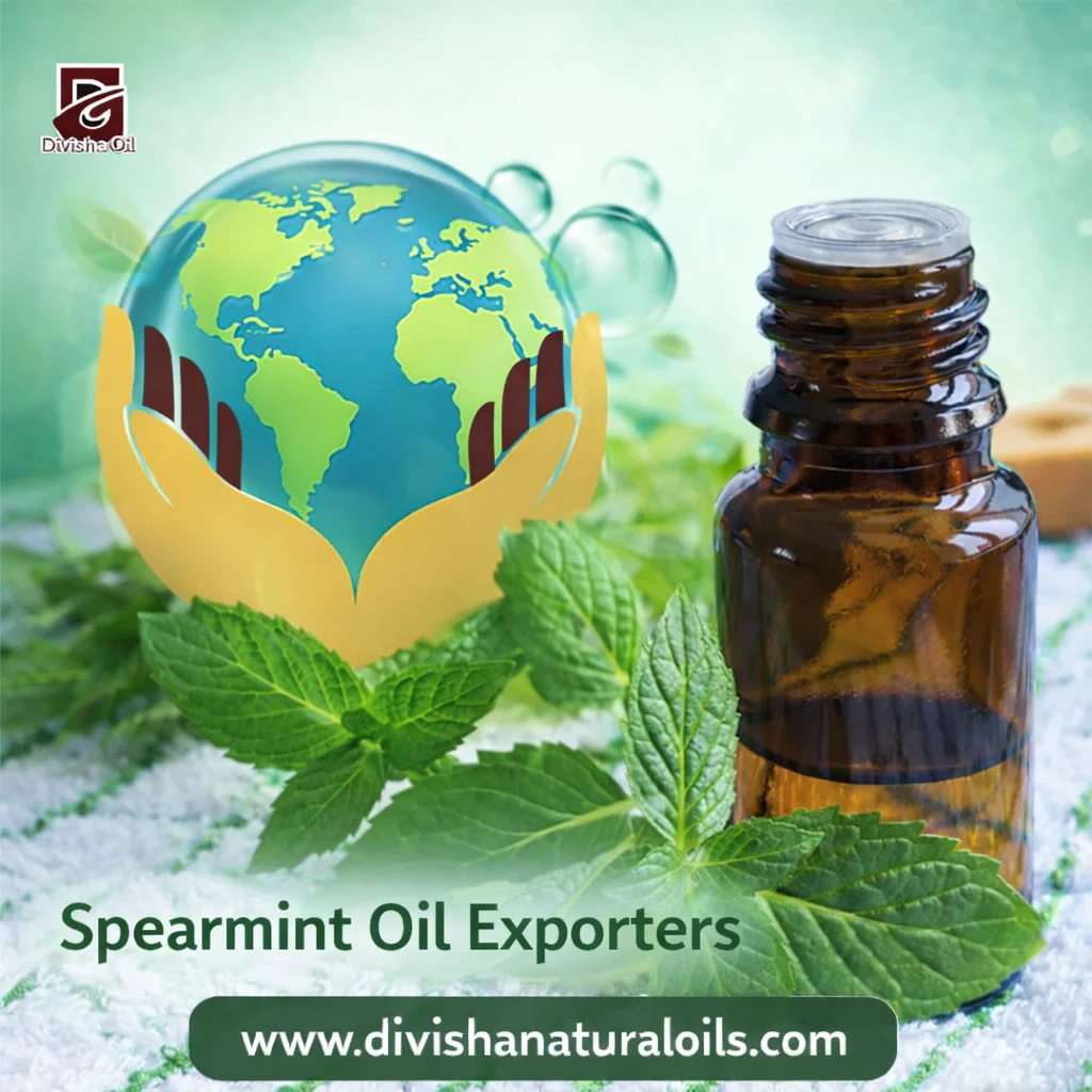 How Spearmint Oil Exporters Maintain Quality for International Markets