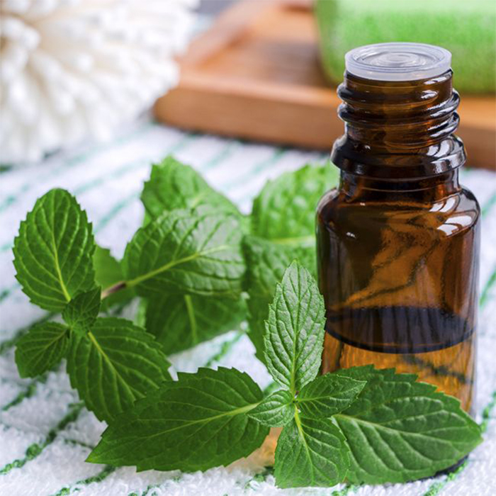 What Makes Divisha Natural Flavours And Fragrances Exports the Best Exporters of Peppermint Oil?