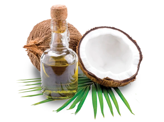 coconut