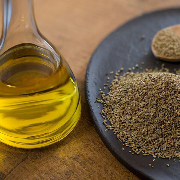 Ajwain Oil