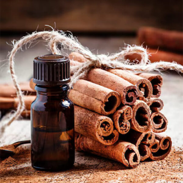 Cinnamon Bark Oil