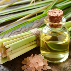 Citronella Oil Jawa