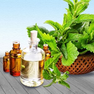 Dementholised Peppermint Oil