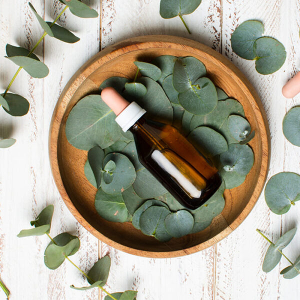 Eucalyptus Citriodora Oil