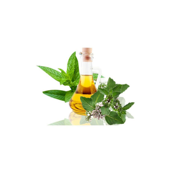 Mentha Arvensis Oil