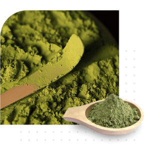 Natural Henna Powder