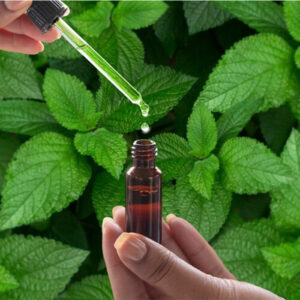Peppermint Oil Terpeneless L-40+