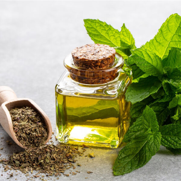 Peppermint Oil Terpeneless L-60+