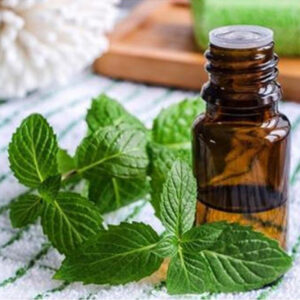 Spearmint Oil - L-60+/ L-80+