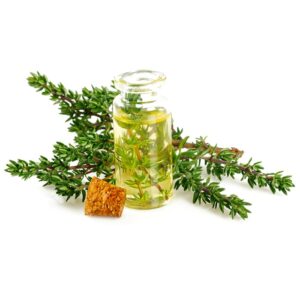 Thymol Oil