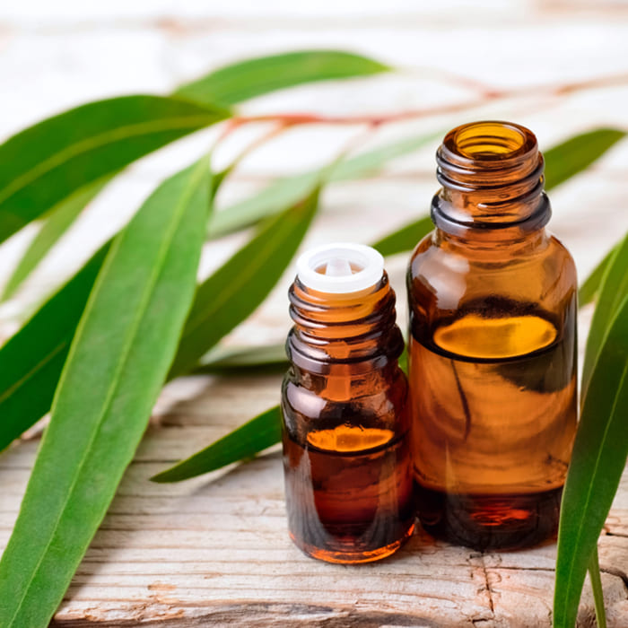 Natural Essential Oils Exporters